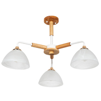 Люстры потолочные Arte Lamp MATTHEW, Италия (Металл)