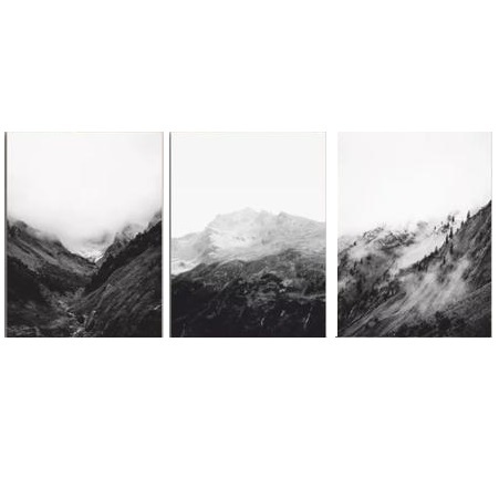 картина на холсте, фотопечать, декор